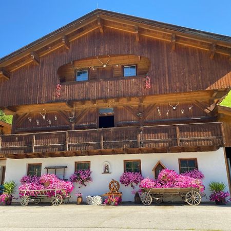 Gaestepension Klammer Картитш Экстерьер фото