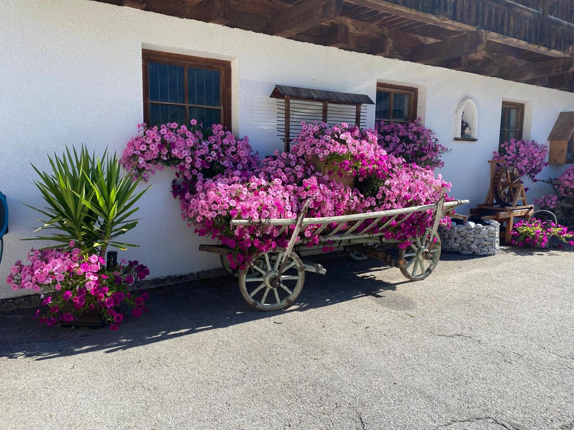 Gaestepension Klammer Картитш Экстерьер фото