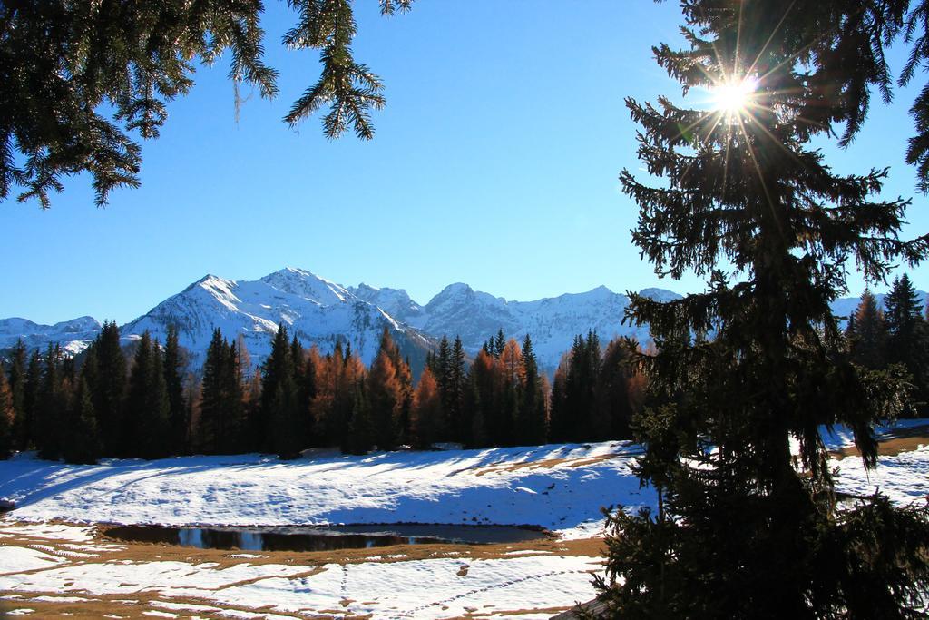 Gaestepension Klammer Картитш Экстерьер фото