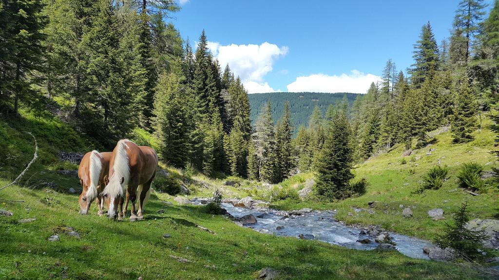 Gaestepension Klammer Картитш Экстерьер фото